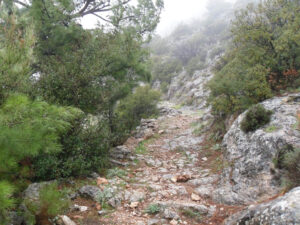 Delphi hike