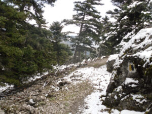 Delphi hike